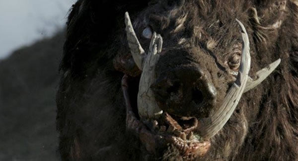 FrightFest 2018 - Boar