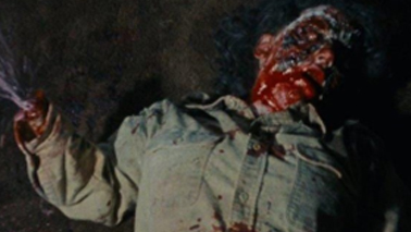 The Evil Dead (1981) - A Sam Raimi Masterpiece - Malevolent Dark